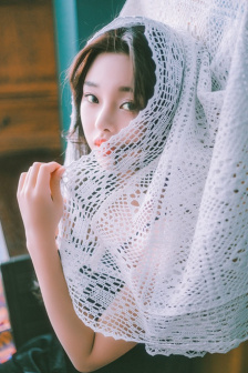 蝴蝶视频在线观看